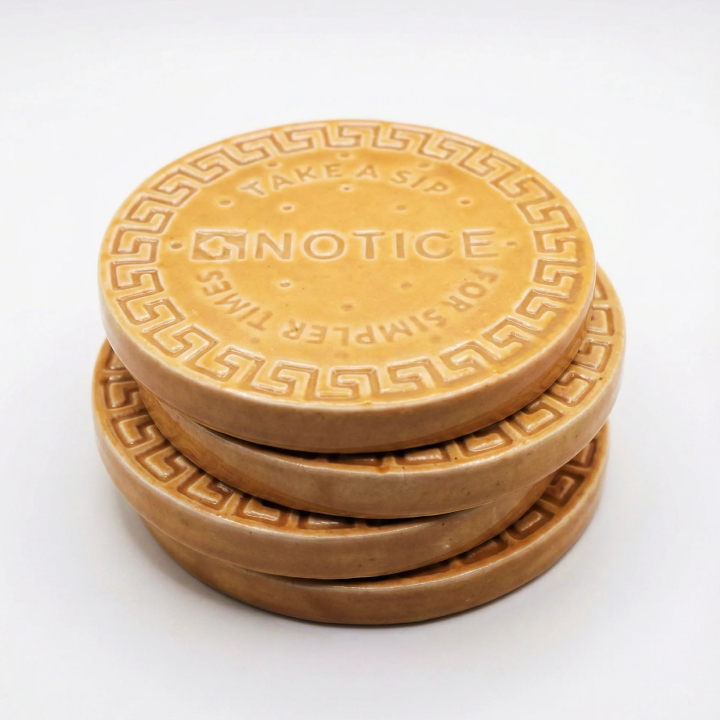 hamaare-coasters